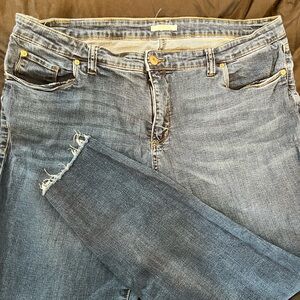 STS Blue Distressed Skinny Jeans